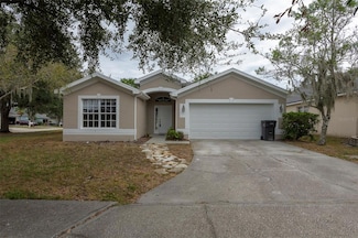 15017 Shaw Rd, Tampa, FL 33625