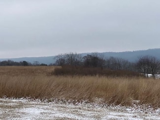 0 McKees Gap Rd, Union Township, PA 17267