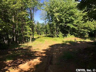 323 Bidwell Rd, Parish, NY 13131