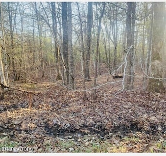 120 Newcastle Ln, Crossville, TN 38558