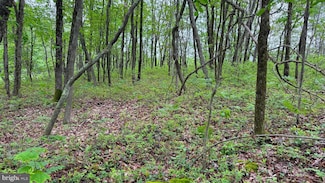 184 Salem Mountain Rd, Carbondale, PA 18407