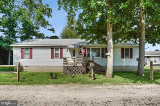 6667 Megan Dr, Chincoteague Island, VA 23336
