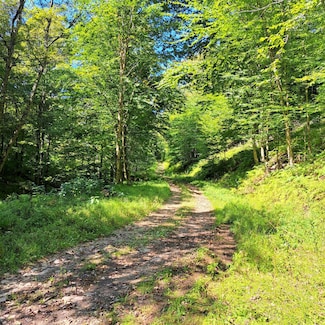 21 Doe Run, West Branch Township, PA 16922