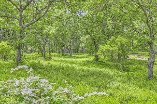 4 Cedar Ln Unit 2.2, Chilmark, MA 02535