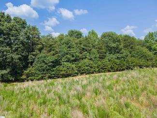 00A Cooley Springs School Rd, Chesnee, SC 29323