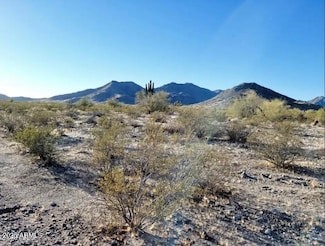 1102 N 235th Ave Unit 56, Buckeye, AZ 85396