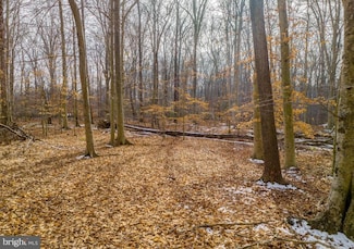 9015 Mitchell Rd, La Plata, MD 20646