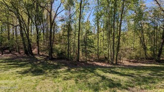 0 Highway 100, Henderson, TN 38340