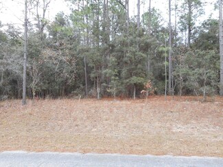 9261 N Lily Dr, Dunnellon, FL 34433