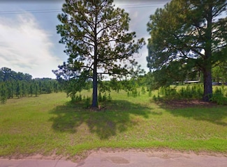 0 Dolphin Dr Unit 23765907, Milam, TX 75948