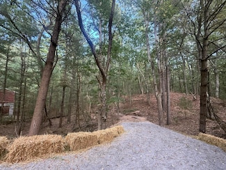 VL Lenox Ave, Summit Township, MI 49449