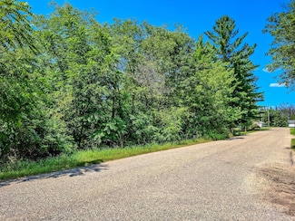 TBD Meadowbrook Dr, Hayes Township, MI 48625