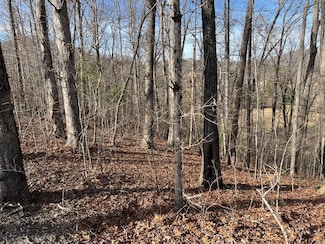 Lot 77A Licklog Ridge, Hayesville, NC 28904
