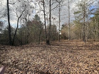 10.77 Ac Valerie Dr, Deer Lodge, TN 37726