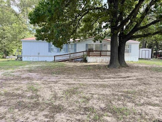 944 SE Cr 3430, Winnsboro, TX 75494