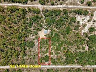 Lot 6 SE 134 Ct, Dunnellon, FL 34431