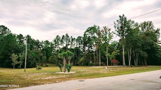 2325 Caracara Dr, Fairfield Harbour, NC 28560