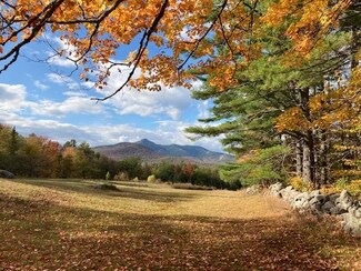 1190 Washington Hill Rd, Silver Lake, NH 03875