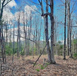 Lot 28 Knowles Hill W, Alexandria, NH 03222