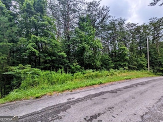 LOT32 Lakeview Dr, Turtletown, TN 37391