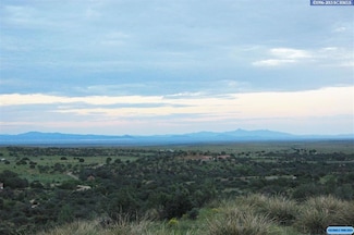 64 Apache Mound Rd, Silver City, NM 88061