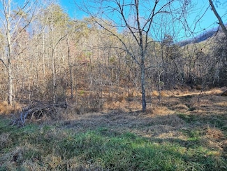 TBD Cleghorn Valley Rd, Marion, VA 24354