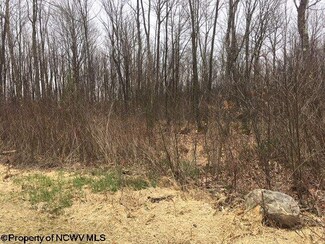 Lot 12 Mason-Dixon Rd, Hazelton, WV 26525