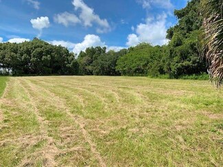 TBD NW 185th St, Reddick, FL 32686