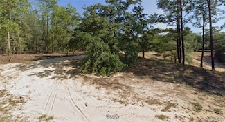 673 E Bimini Dr, Citrus Springs, FL 34434