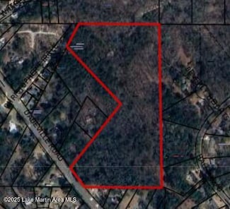 Lot 0 Dadeville Rd, Alexander City, AL 35010