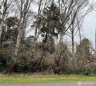 308 Lakeview Loop NE, Ocean Shores, WA 98569