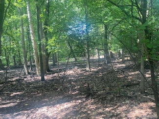 4.8 Acres Westview Rd, Bloomfield Township, MI 48304