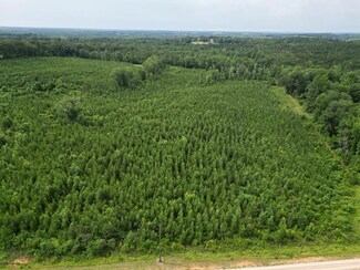 0 County Road 204, Ariton, AL 36311