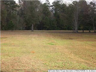 29610 Wimberly Ln, Livingston, LA 70754