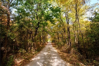 18981 Rock Springs Rd, Lincoln, AR 72744