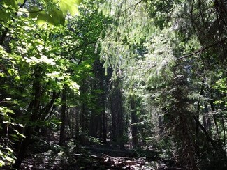 Lot 704 Maple Dr Hammond Ranch, Weed, CA 96094