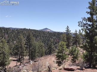 822 Chateau Dr W, Florissant, CO 80816