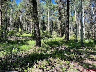 457 Ute Dr, Cimarron, CO 81220