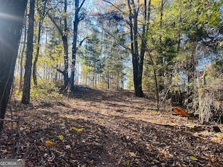 0 County Road 138 Unit LOT 11 10366159, Opelika, AL 36804