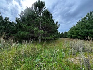 49928 County Highway 54, New York Mills, MN 56567
