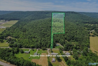 SITE 2A&2B All Jersey Rd, Somerville, AL 35670