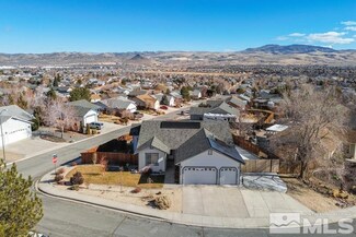 1339 Whooping Crane Dr, Sparks, NV 89441