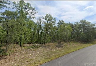 1625 W Swanson Dr, Pine Ridge, FL 34434