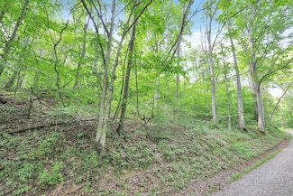 18411 Thad Hall Rd, Laurelville, OH 43135