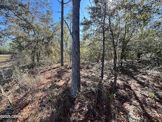 Lot 17 Shelby Ct, Chipley, FL 32428