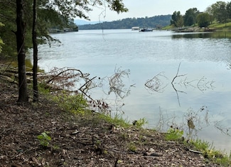 845 Harrison Ferry Rd, White Pine, TN 37890