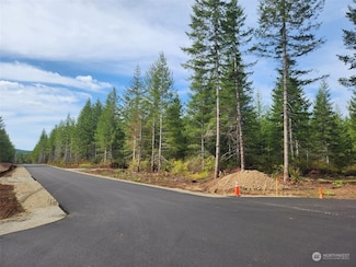 0 Lot 1 Div 1 Raven Ln Unit NWM2180152, Elma, WA 98541