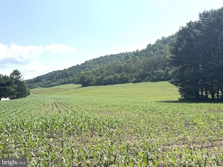 7260 Chilcote Hollow Rd, Petersburg, PA 16669