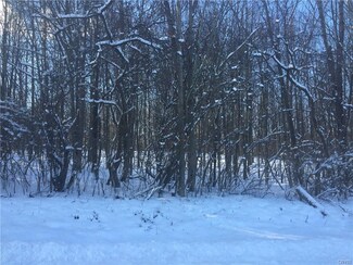99999 Graffenburg Rd, Frankfort, NY 13340