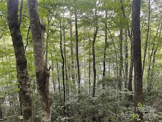 2642 Canada Rd, Tuckasegee, NC 28783